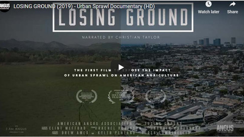 Losing Ground Multimedia Project